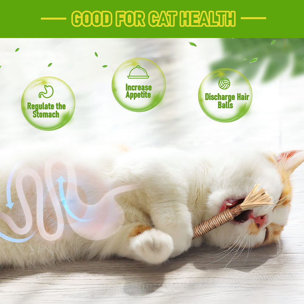 BAWAN GBSYU baton-silvervine-chat: plaisir et nettoyage dentaire pour chat.