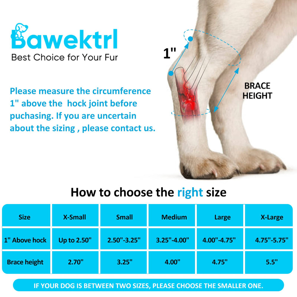 Bawektrl attelle arrière chien en neoprene 3,5 mm pour confort et stabilité