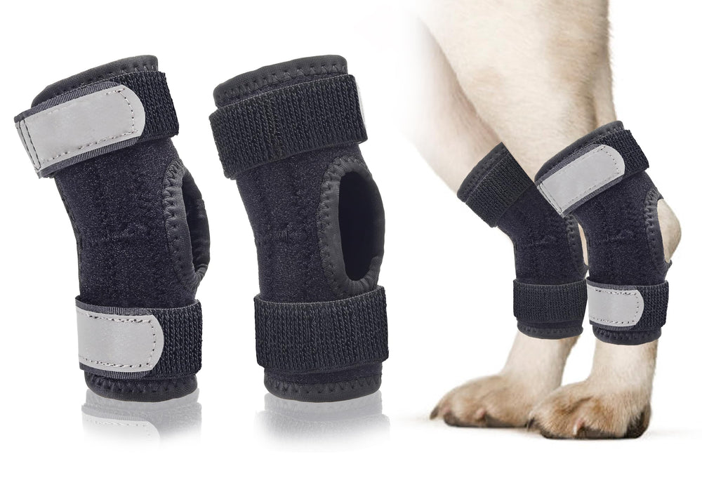 Bawektrl attelle tarse arrière sur chien pour soutenir la patte lors de la marche.