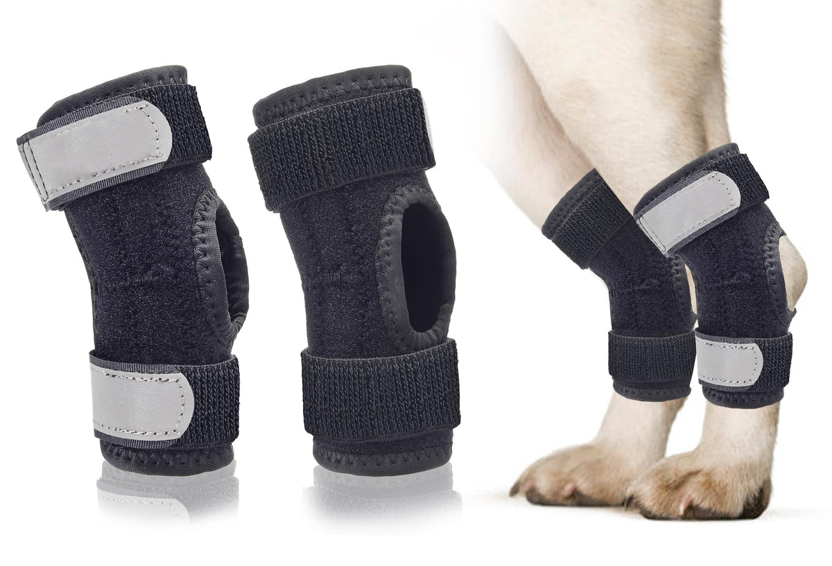 Bawektrl attelle tarse arrière sur chien pour soutenir la patte lors de la marche.