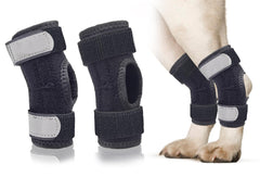 Bawektrl attelle tarse arrière sur chien pour soutenir la patte lors de la marche.