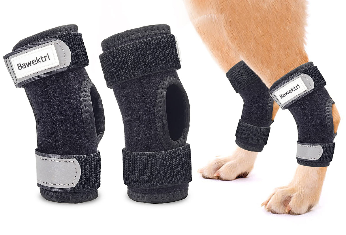 Bawektrl attelle hock arrière chien avec lattes métalliques pour soutien précis
