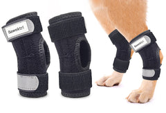 Bawektrl attelle hock arrière chien avec lattes métalliques pour soutien précis