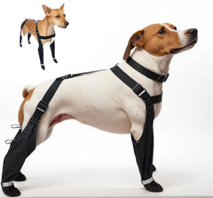 BAYANKALA bottes suspendues chien en neige: protège les pattes.