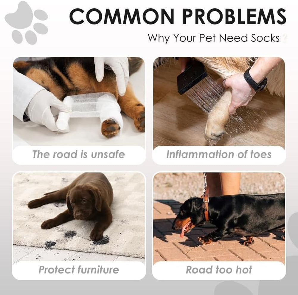 BAYANKALA Réglage élastique: ajustement sûr et confortable pour tout chien.