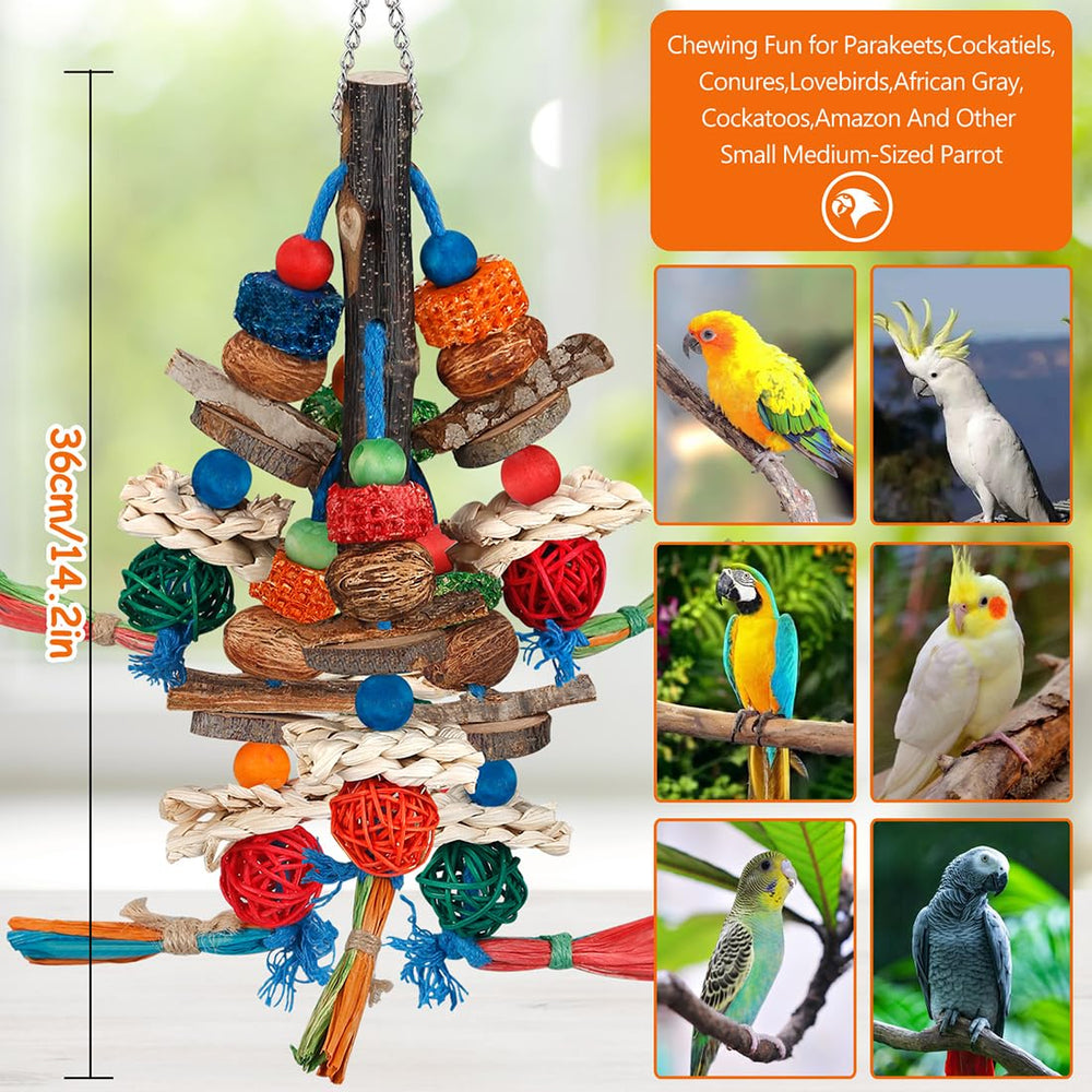BBjinronjy ensemble-jeu perroquet favorise socialisation et moments partagés.