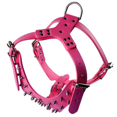 Bbmmayy ensemble harnais et collier rose: coordination chic et sécurité renforcée.