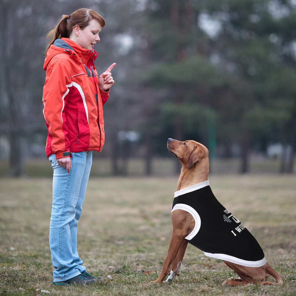 BBTO vêtement quotidien pour chien et chat, été léger et pratique