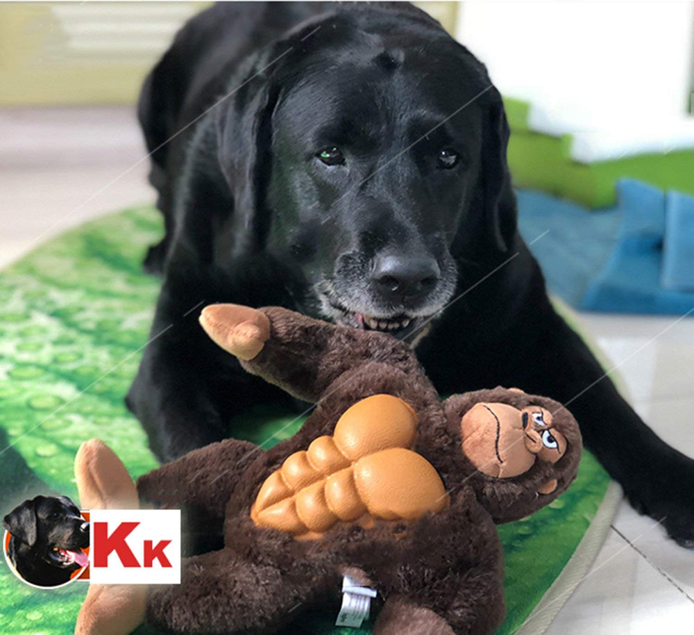 Peluche durable IOEN pour chien moyen lors des jeux quotidiens