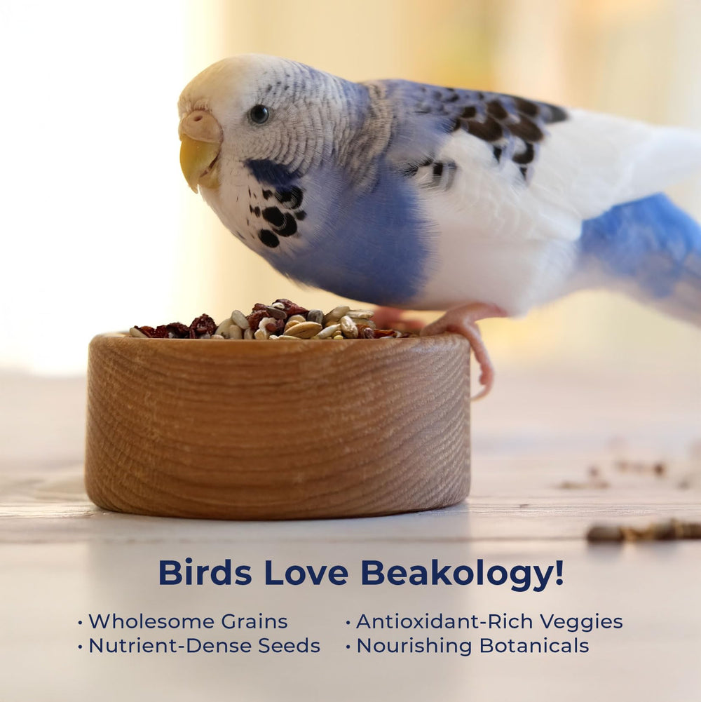 Beakology Wild Wellness vitamines B et A pour plumes et énergie.