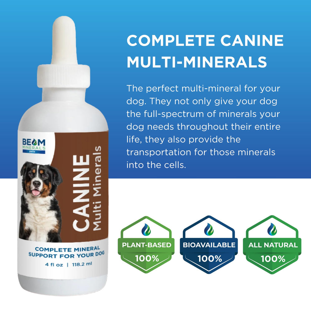 Beam Minerals dosage selon le poids du chien pour un usage quotidien.