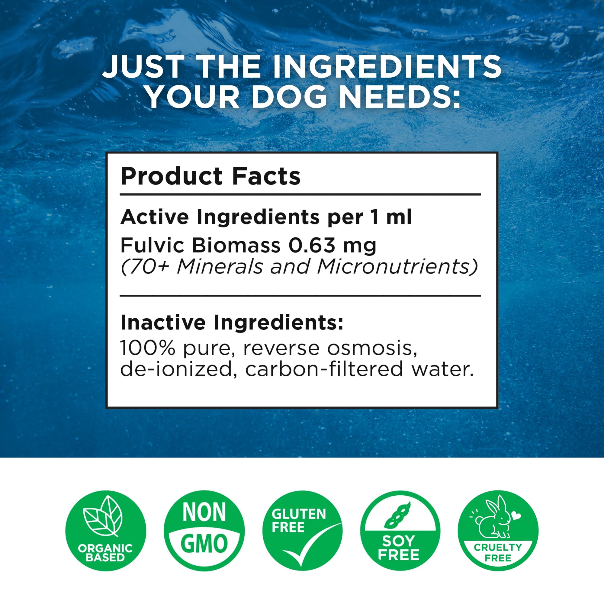 BEAM MINERALS Électrolytes Canins bouteille 12 oz pour chiens actifs
