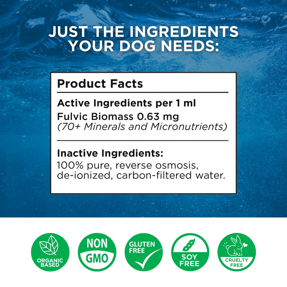 BEAM MINERALS Électrolytes Canins bouteille 12 oz pour chiens actifs