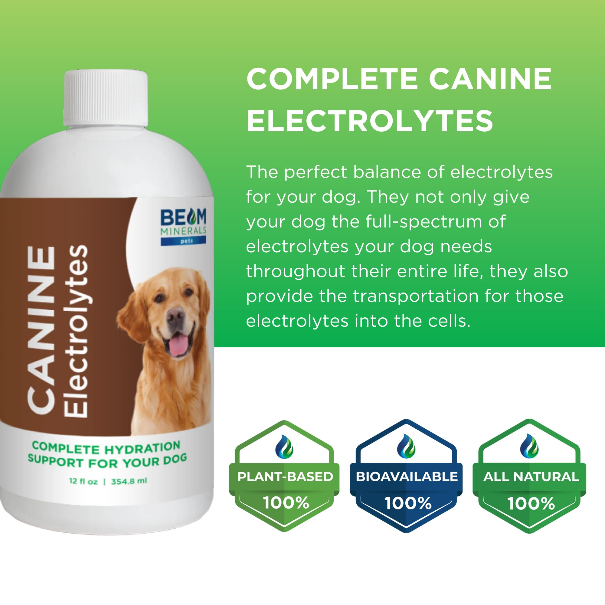 BEAM MINERALS Électrolytes Canins doseur gouttes prêt à mélanger
