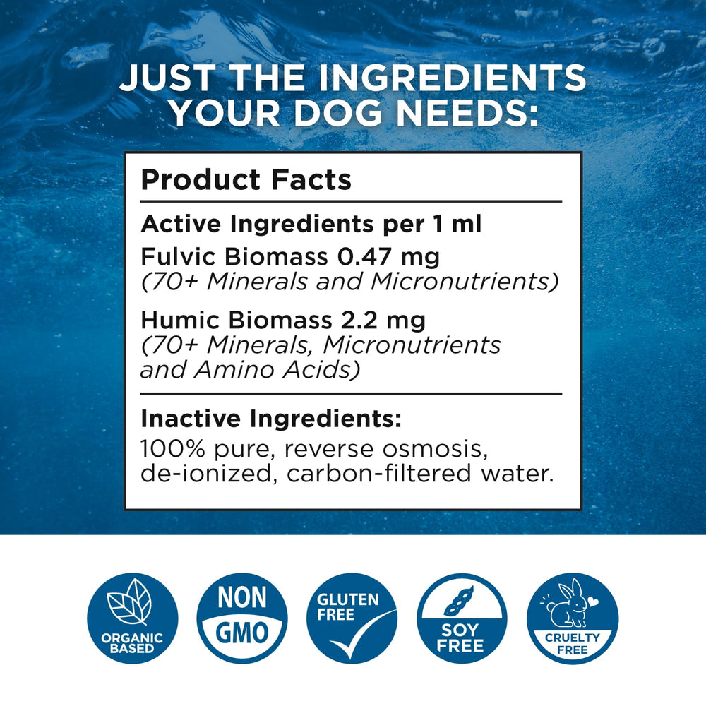 Beam Minerals gouttes mesurées facilitant l'apport minéral chez le chien.