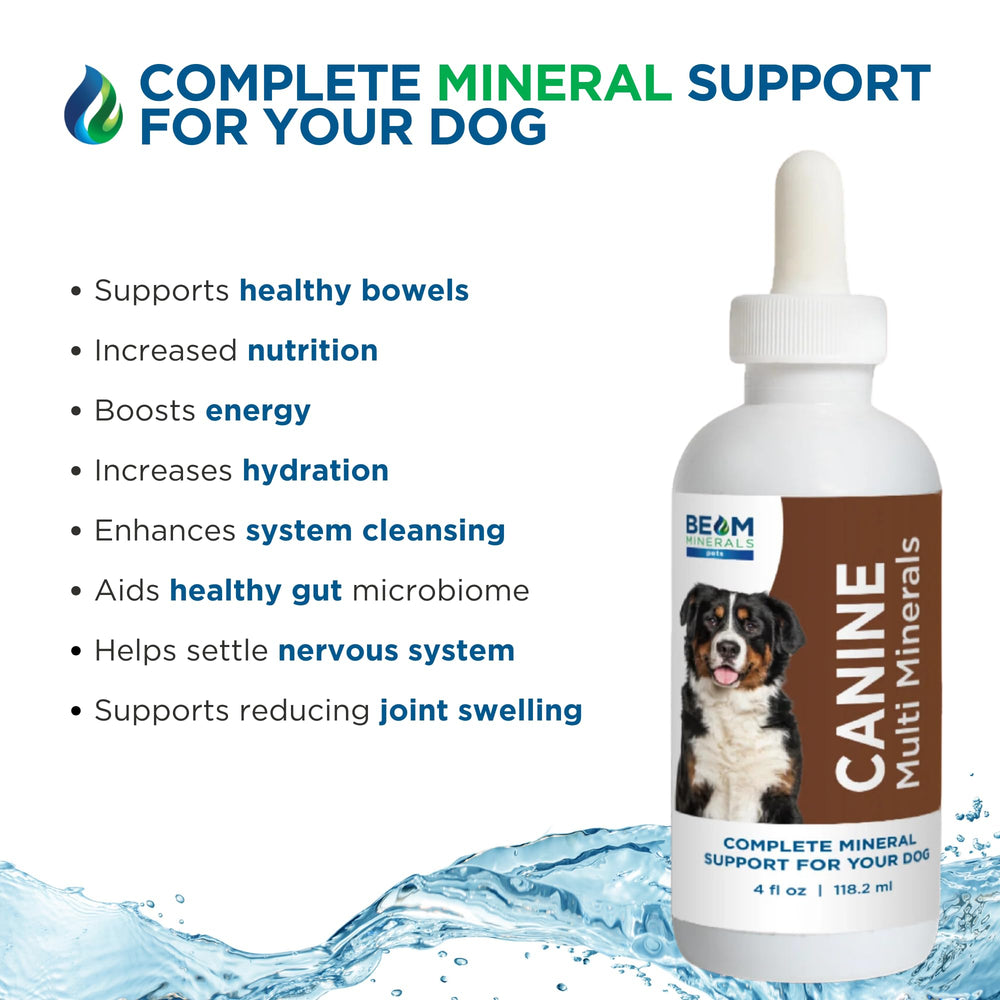Beam Minerals mélangé à l'eau du chien peut soutenir une digestion équilibrée.