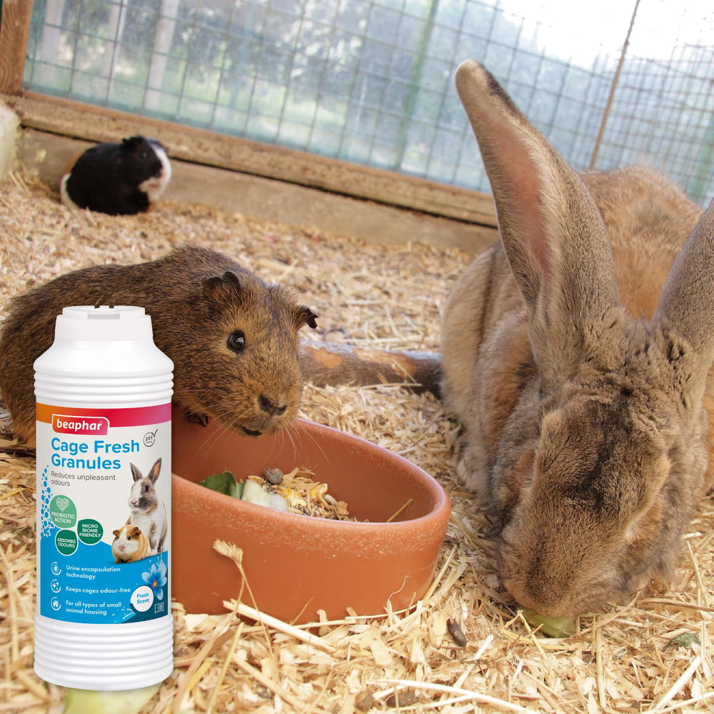 Beaphar Cage Fresh Granules: application légère, fraîcheur durable