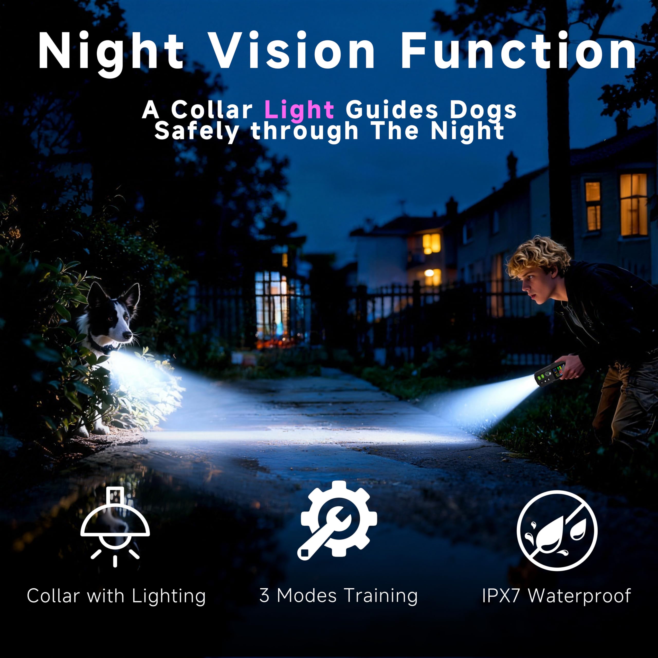 Beatails lumière LED nocturne pour une meilleure visibilité du chien.