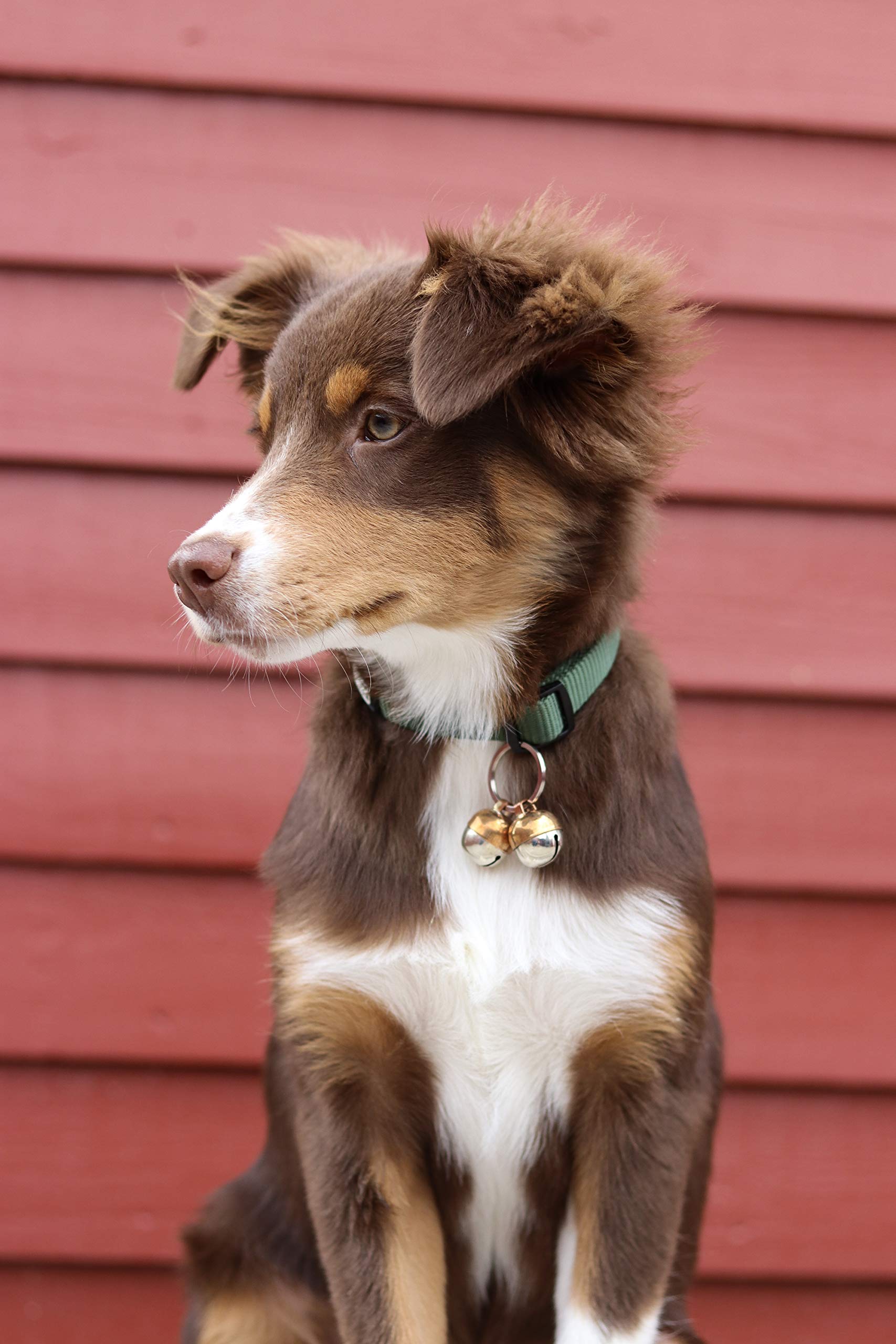 Beau's Bells cloche fait main cuivre pour animaux