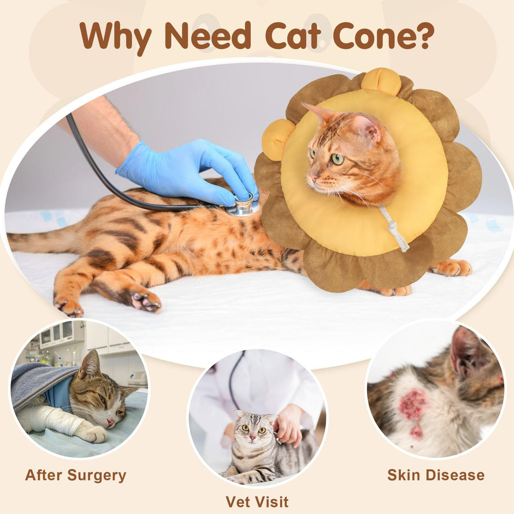 BEAUTYZOO collier-cone chat doux, confort pour le repos.