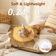BEAUTYZOO collier-cone chat doux, lavage rapide et pratique.