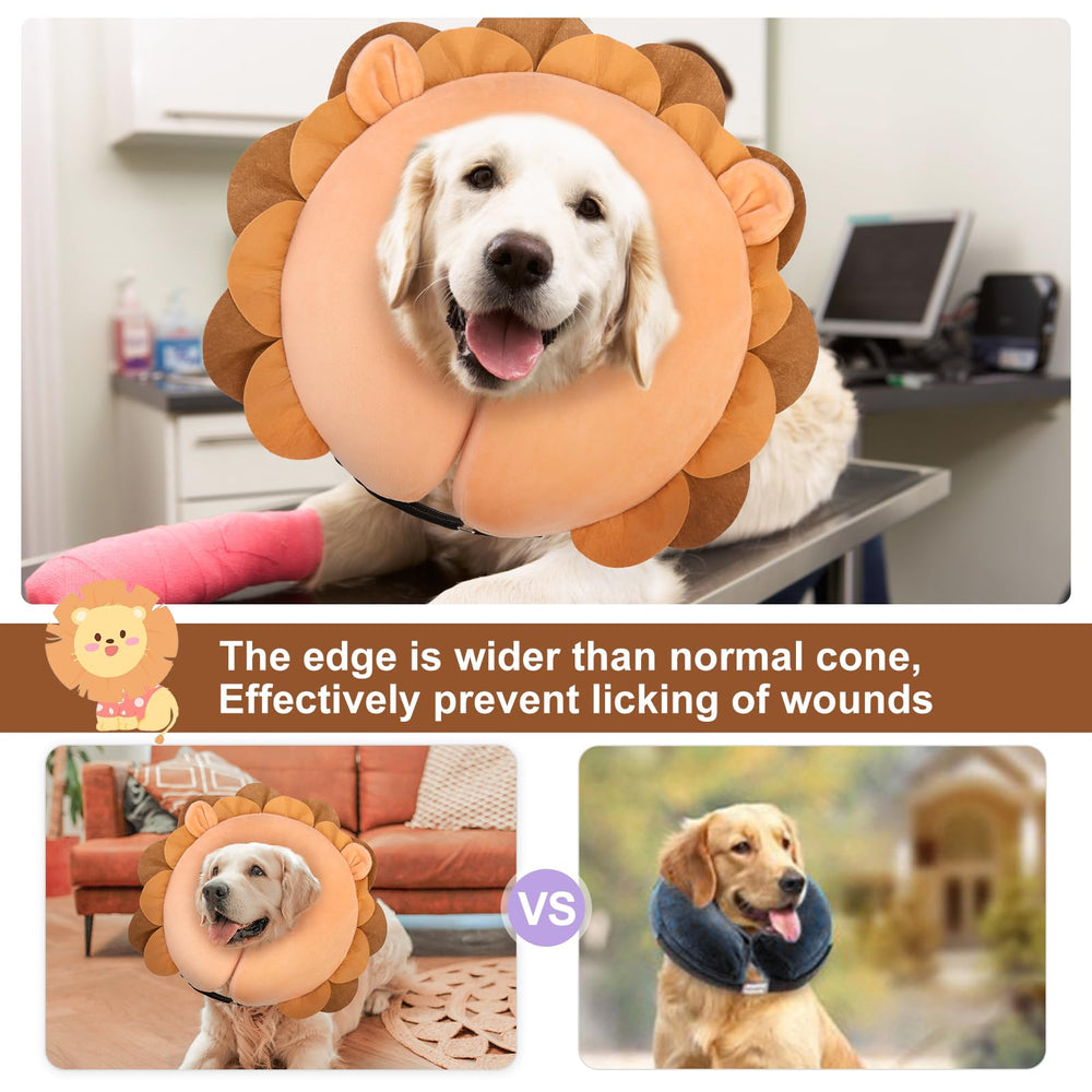BEAUTYZOO collier donut confort pour chien, mouvement libre et repos facilités.