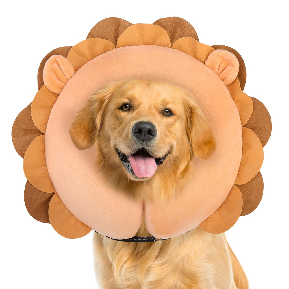 BEAUTYZOO collier donut gonflable en action sur un chien XL, confort et sécurité.