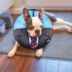  Beautyzoo collier cone gonflable réglable, sécurité nocturne.