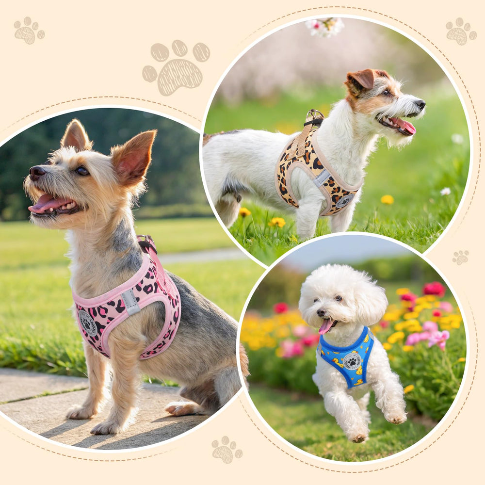 BEAUTYZOO ensemble harnais et laisse Léopard rose, pratique pour chiens et chats.