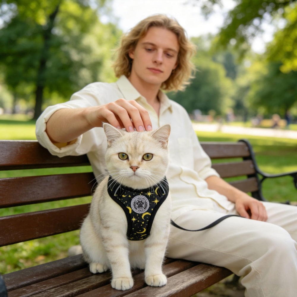 BEAUTYZOO harnais-chat-anneau-en-d garantit une fixation solide du leash.