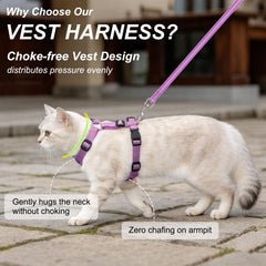 Harnais BEAUTYZOO design-haut-des-tetes, facilité d habillage pour chats sensibles