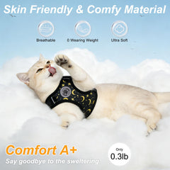 Harnais BEAUTYZOO réglable à 5 points pour un ajustement sûr et personnalisé.