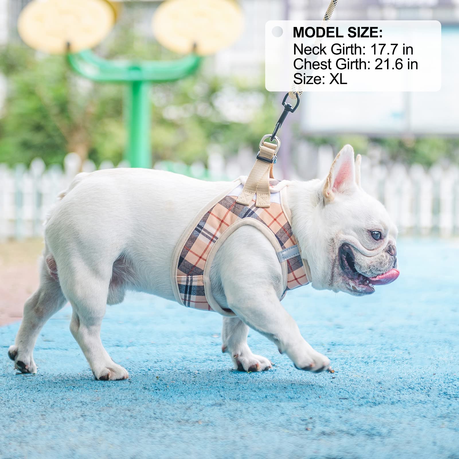 Harnais BEAUTYZOO étape d’enfilage simple pour chien