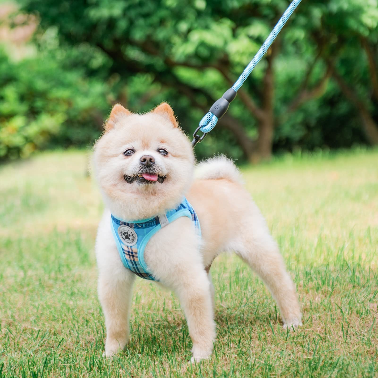 Harnais BEAUTYZOO taille ajustable XS-S, adaptabilité pour petit et moyen chien.