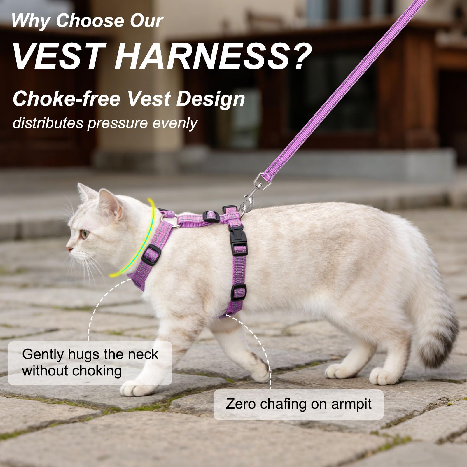 BEAUTYZOO laisse-chat 5 pieds, parfaite pour les sorties quotidiennes.