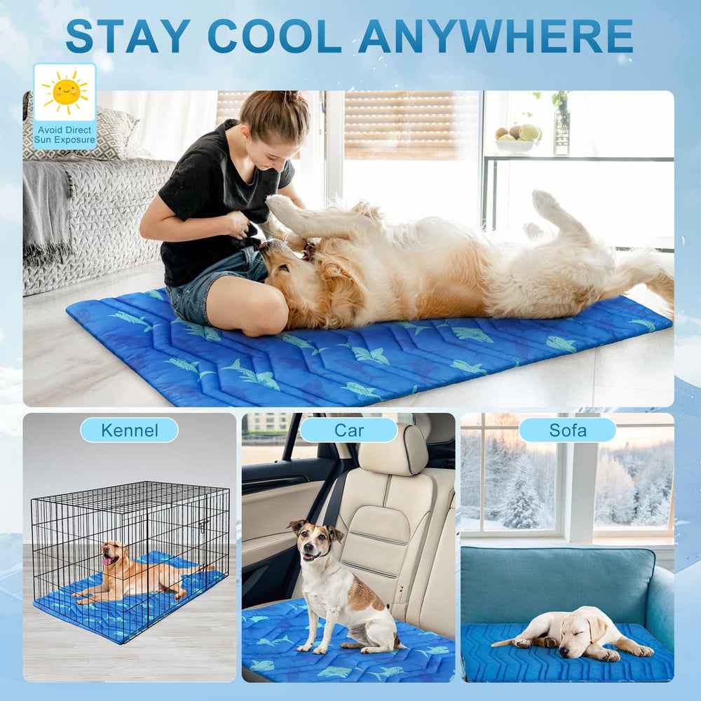 BEAUTYZOO Coutures renforcées: stabilité et durabilité pour chiens lourds