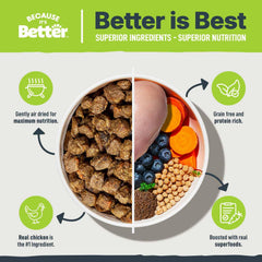 Because It’s Better – légumes entiers visibles (carottes, potiron, myrtilles) pour une nutrition naturelle.