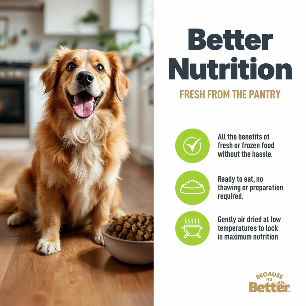 Because It’s Better – Morceaux tendres faciles à mâcher, idéal pour chiens exigeants.