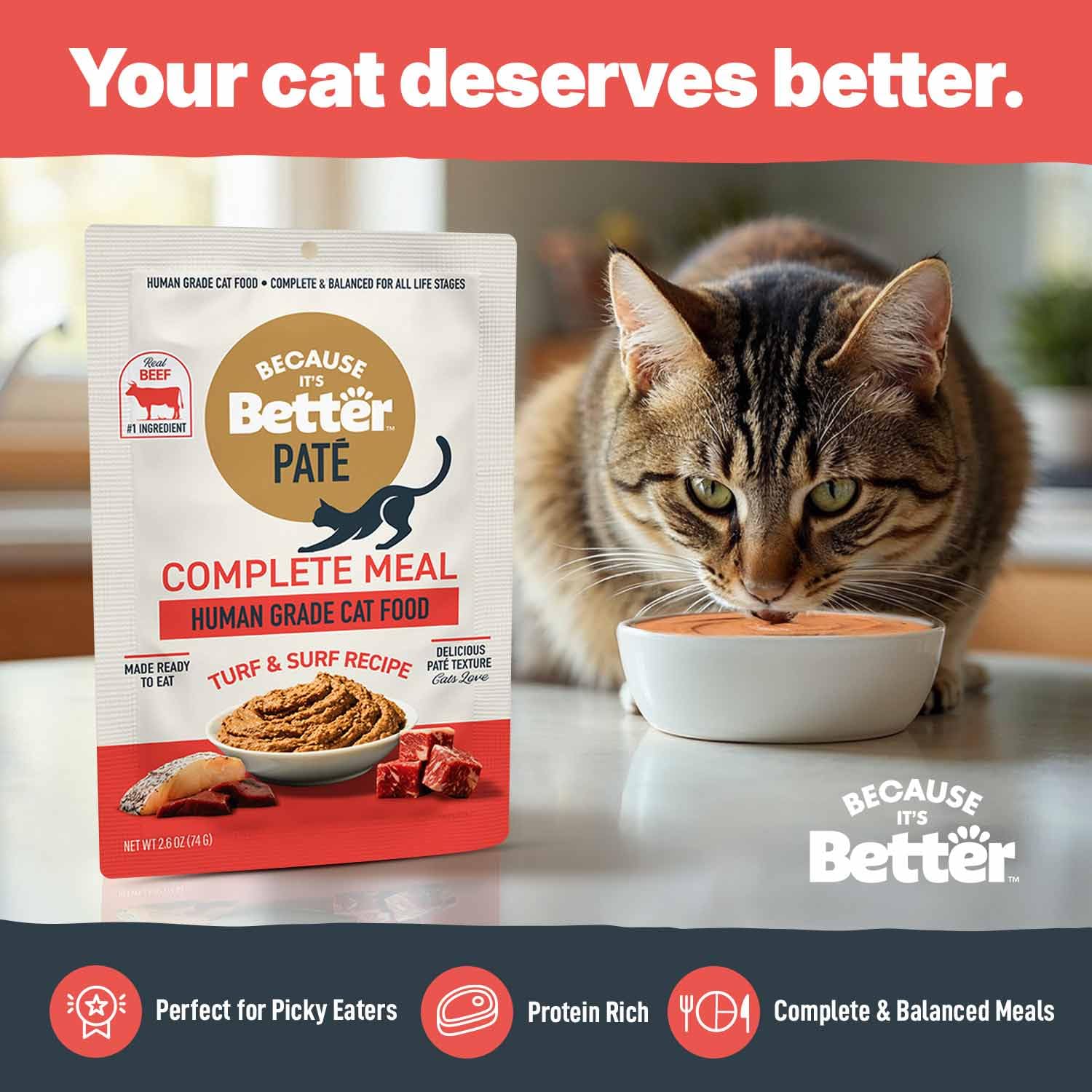 Because It’s Better sans céréales — option adaptée pour chats sensibles.