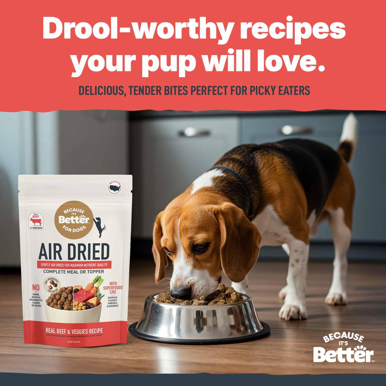 Because It’s Better: protéine de boeuf de haute qualité pour muscles et vitalité du chien