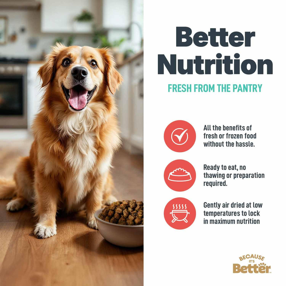 Because It’s Better: repas complet ou topping facile à ajouter aux croquettes quotidiennes