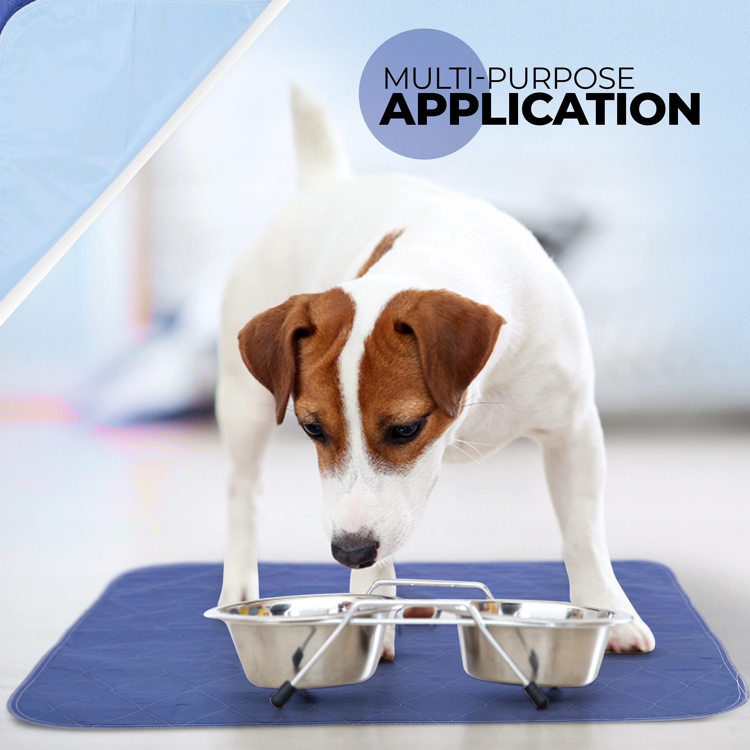 Becks Classic usages polyvalents pour maison, cage et litière.