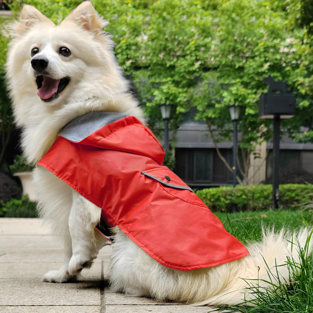 BECNBEAU manteau chien ourlet courbe permettant mouvements libres pendant le jeu.