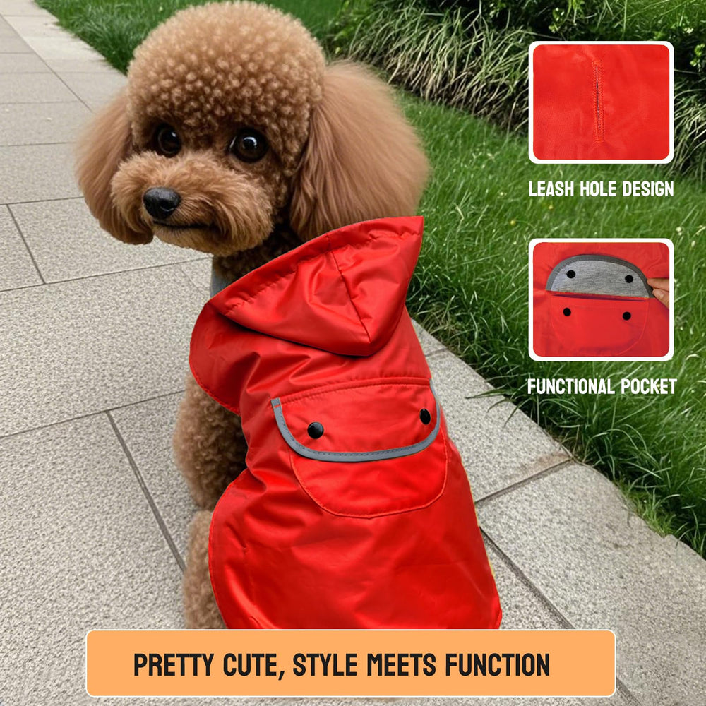 BECNBEAU manteau chien avec trou d’attache intégré pour promenades faciles sans enlever.