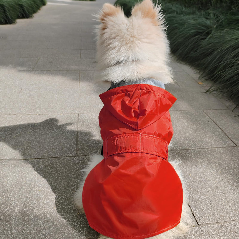 Couleur rouge vive pour une meilleure visibilité et sécurité lors des promenades.