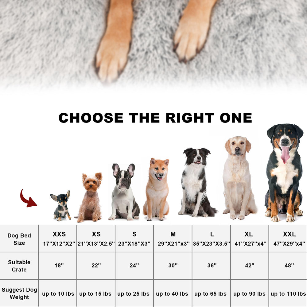 Bedfolks confort à domicile pour chiens et chats.