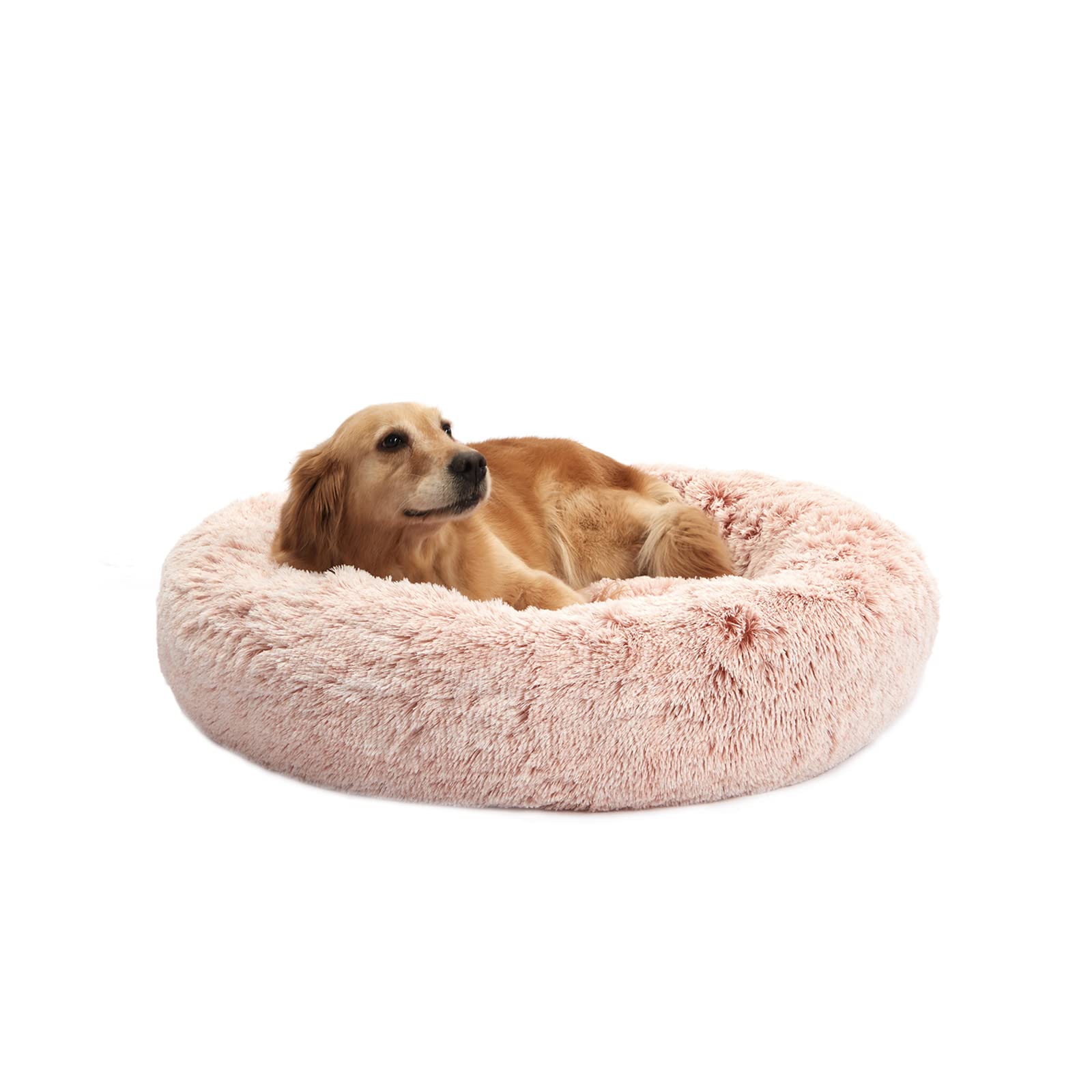 Bedfolks lit chien anneau apaisant, confort moelleux pour le repos.