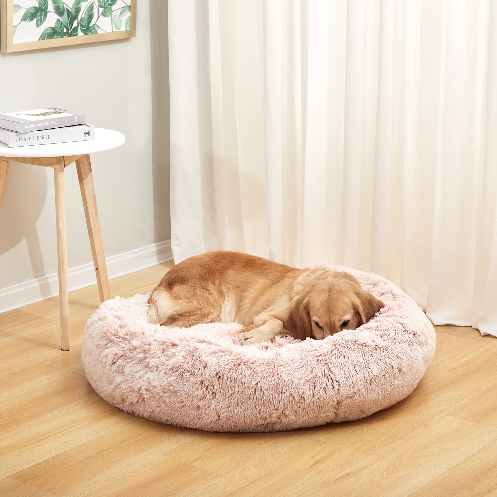 Bedfolks lit chien anneau rose anti anxiété, soutien du cou agréable.