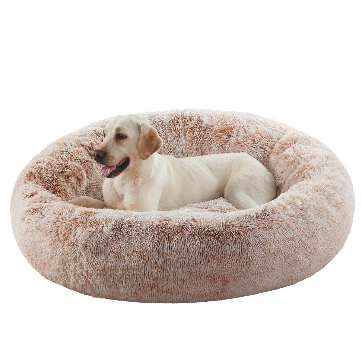 BedStill lit chien en forme de beignet de grande taille, peluche douce pour un repos rassurant.