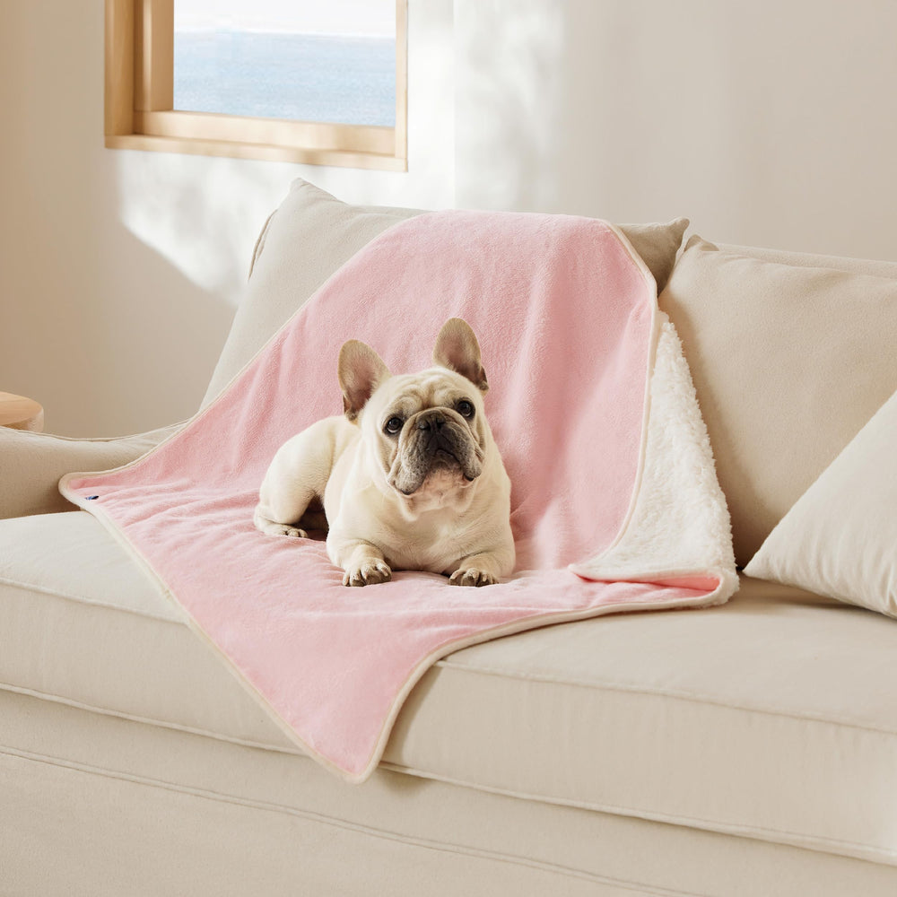 Bedsure couverture imperméable pour chat sur canapé: protège des déversements et taches.